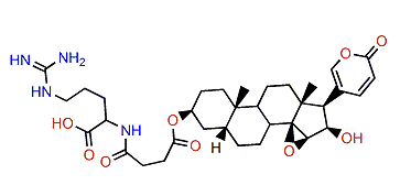 3-(N-Succinoyl argininyl)-desacetylcinobufagin